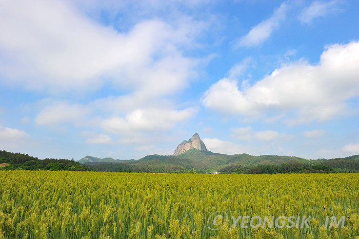 마이산이 보이는  풍경 1.jpg