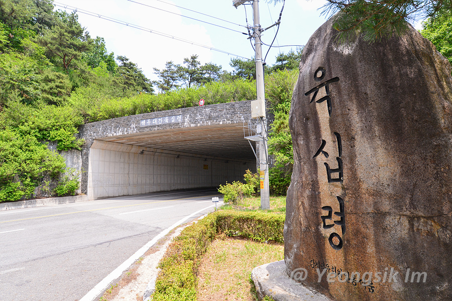 백두대간 육십령_4001.jpg